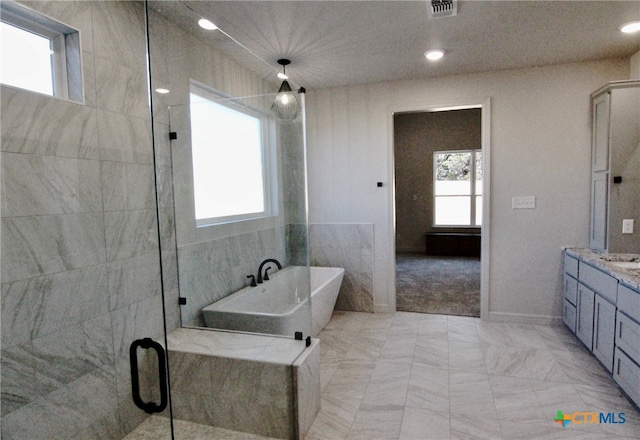 bathroom with vanity, plenty of natural light, and independent shower and bath