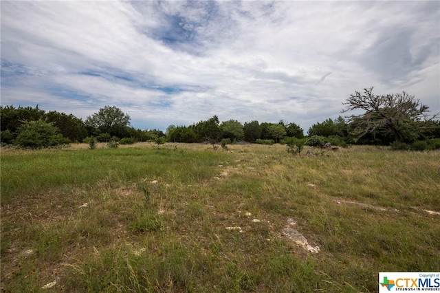 13998 Kuykendall Mountain Rd, Temple, TX 76502 - photo 4