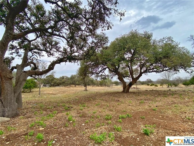 109 Rio Grande Dr, Blanco, TX 78606