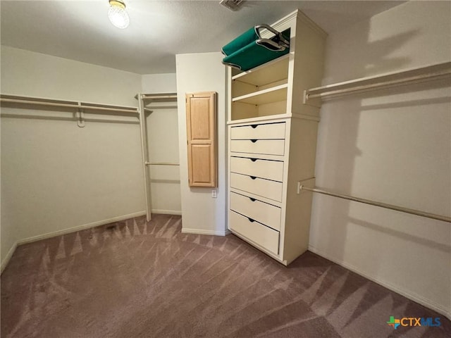 spacious closet with dark carpet