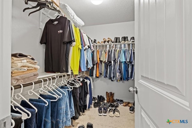 walk in closet with carpet flooring