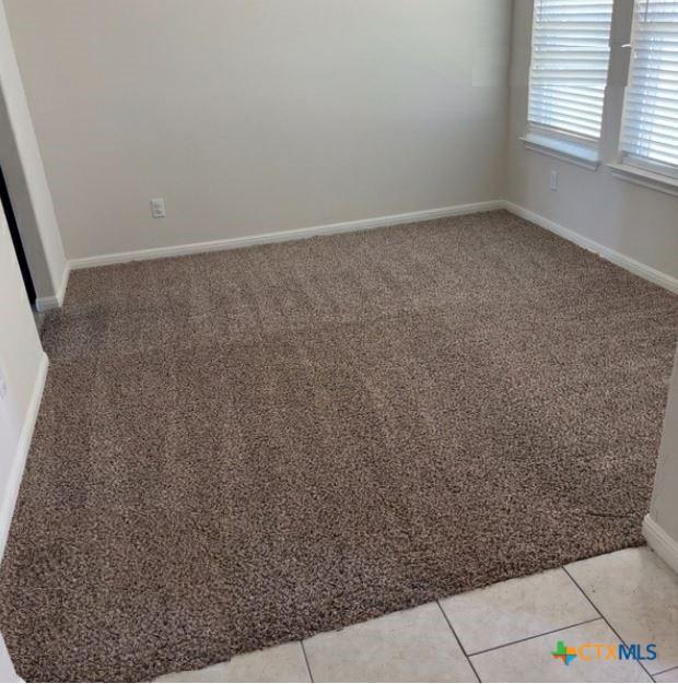 3805 Flat Rock Mountain Dr, Killeen, TX 76549 - spare room featuring light colored carpet and baseboards