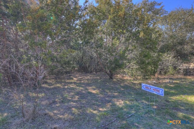 Listing photo 2 for 223 Iron Horse, New Braunfels TX 78132