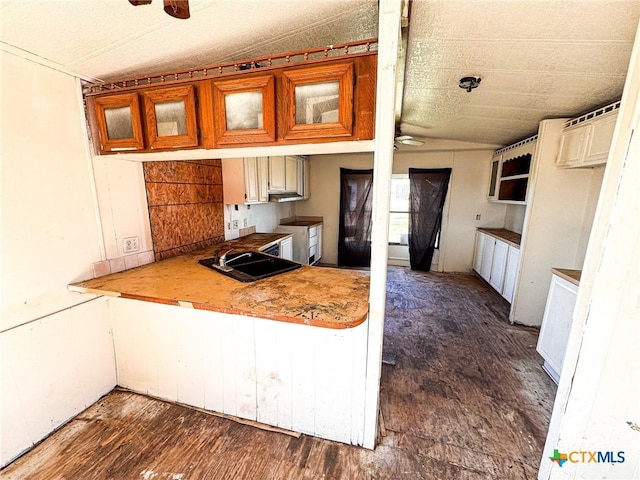 kitchen featuring ceiling fan, sink, and dark wood-type flooring