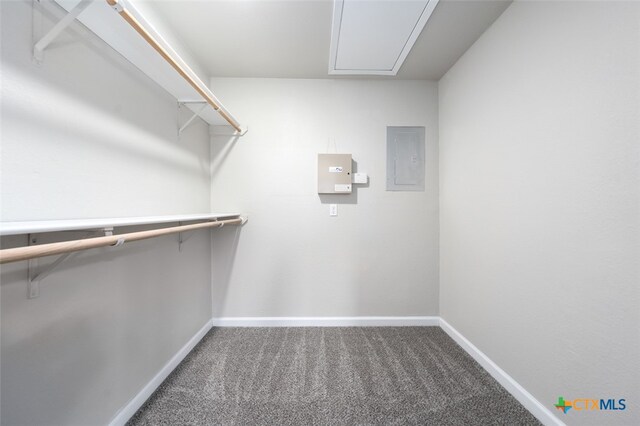 walk in closet featuring electric panel and carpet