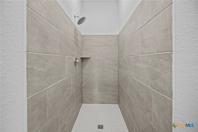 interior details with tiled shower