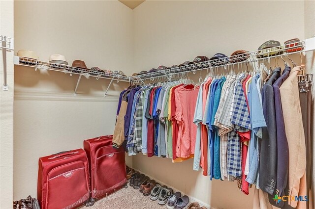 5642 Briar Knl, New Braunfels, TX 78132 - spacious closet featuring carpet