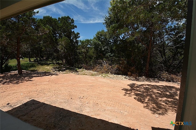 641 Turkey Canyon Dr, Spring Branch, TX 78070 - photo 11