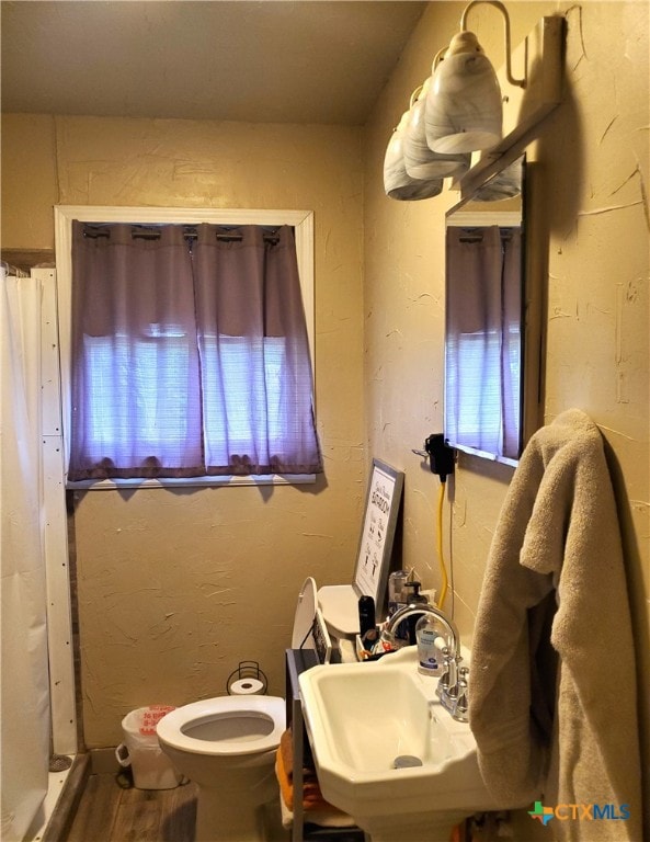 bathroom with sink, toilet, and a shower with curtain