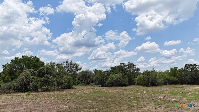164 Fm 3158, Dale, TX 78616 - photo 5