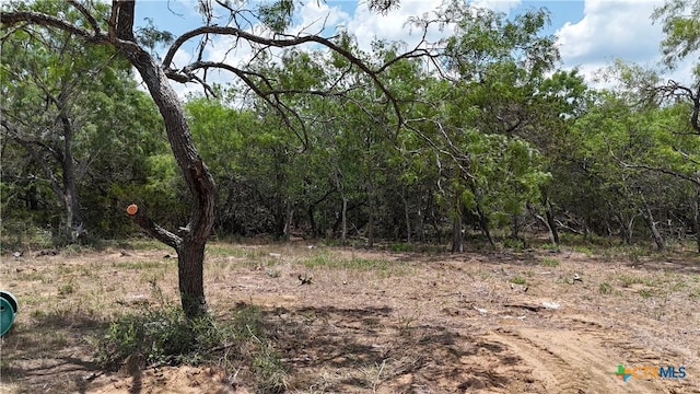 164 Fm 3158, Dale, TX 78616 - photo 2