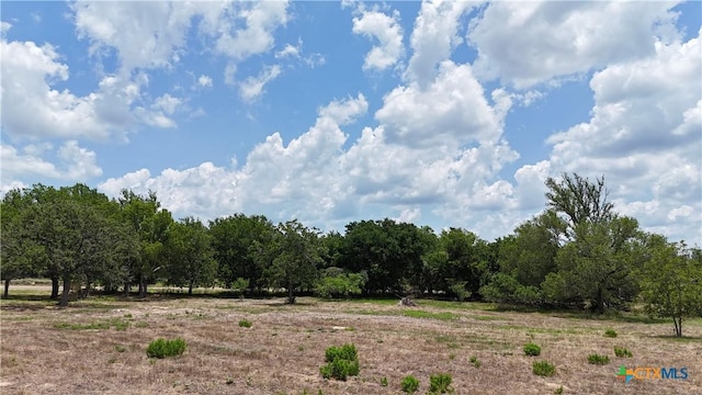 164 Fm 3158, Dale, TX 78616 - photo 7