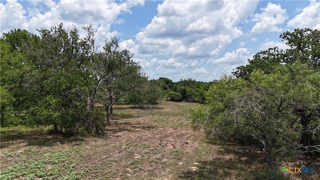 164 Fm 3158, Dale, TX 78616 - photo 4