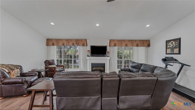 living room featuring hardwood / wood-style flooring and vaulted ceiling