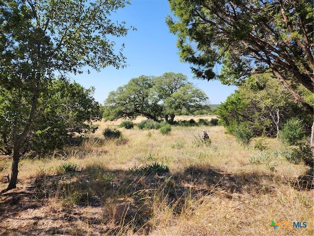 13586 Crows Ranch Rd, Salado, TX 76571 - photo 3