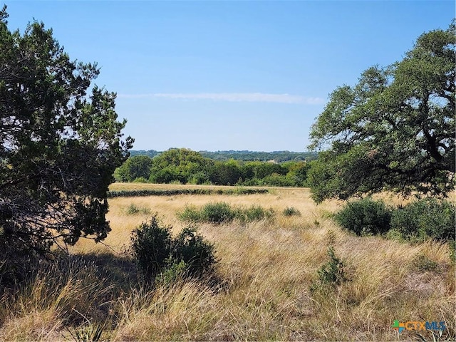 13586 Crows Ranch Rd, Salado, TX 76571 - photo 6