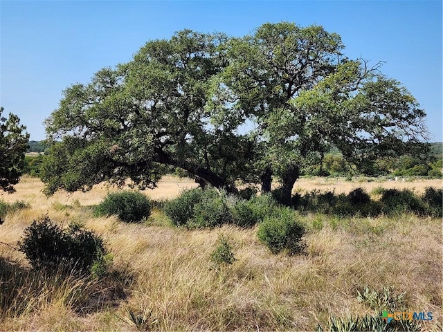 13586 Crows Ranch Rd, Salado, TX 76571 - photo 5
