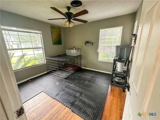 2503 E Mistletoe Ave, Victoria, TX 77901 - bedroom featuring wood finished floors, a textured ceiling, and a ceiling fan