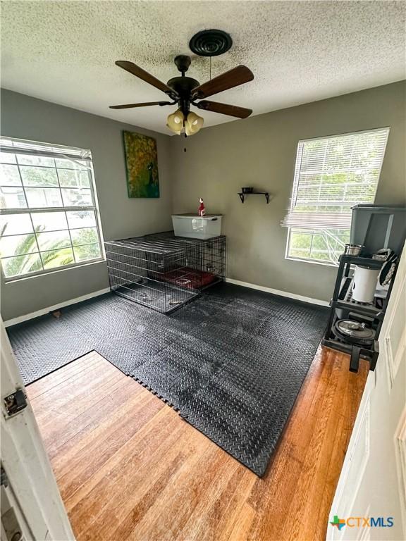2503 E Mistletoe Ave, Victoria, TX 77901 - bedroom with wood finished floors, multiple windows, a textured ceiling, and a ceiling fan