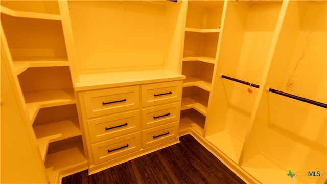 spacious closet with dark wood-type flooring