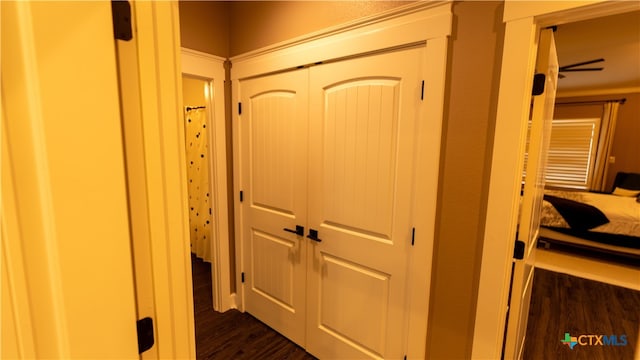 hallway with dark hardwood / wood-style flooring