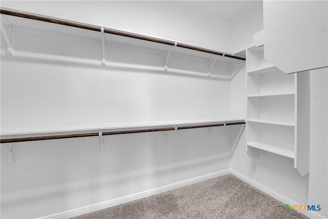 walk in closet featuring carpet