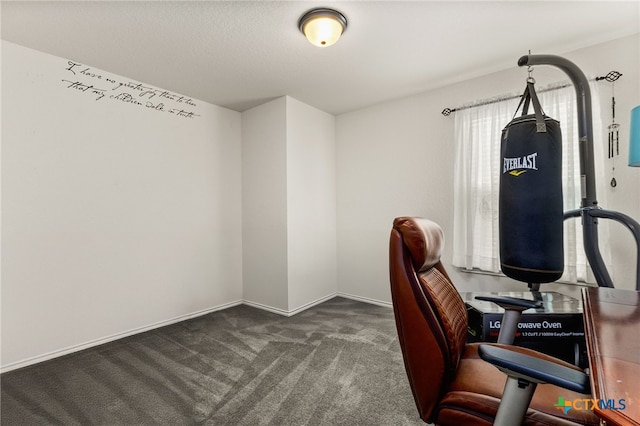 3946 Legend Pond, New Braunfels, TX 78130 - view of carpeted office