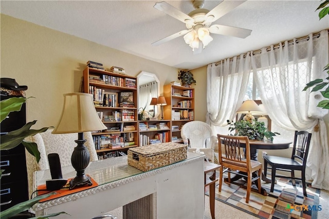 181 Foxglove Pass, Cibolo, TX 78108 - photo 23