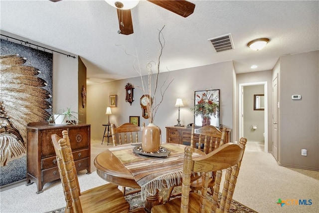 181 Foxglove Pass, Cibolo, TX 78108 - photo 15