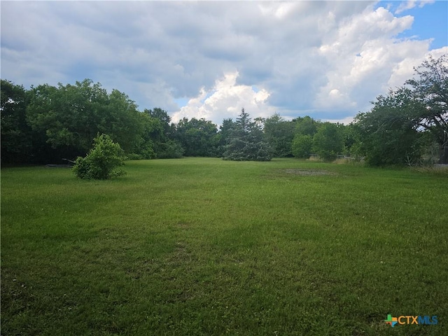 4902 Meyers Ln, Waco, TX 76705 - view of grassy yard with a forest view