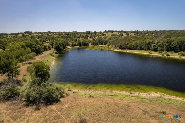 1043 E County Road 224, Kempner, TX 76539 - photo 22