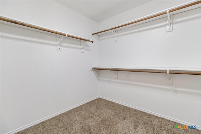 walk in closet featuring carpet