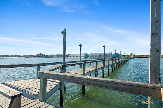 dock area with a water view