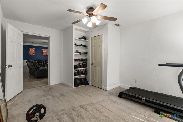 517 Margaret Lee St, Copperas Cove, TX 76522 - exercise area with a ceiling fan, carpet floors, and baseboards