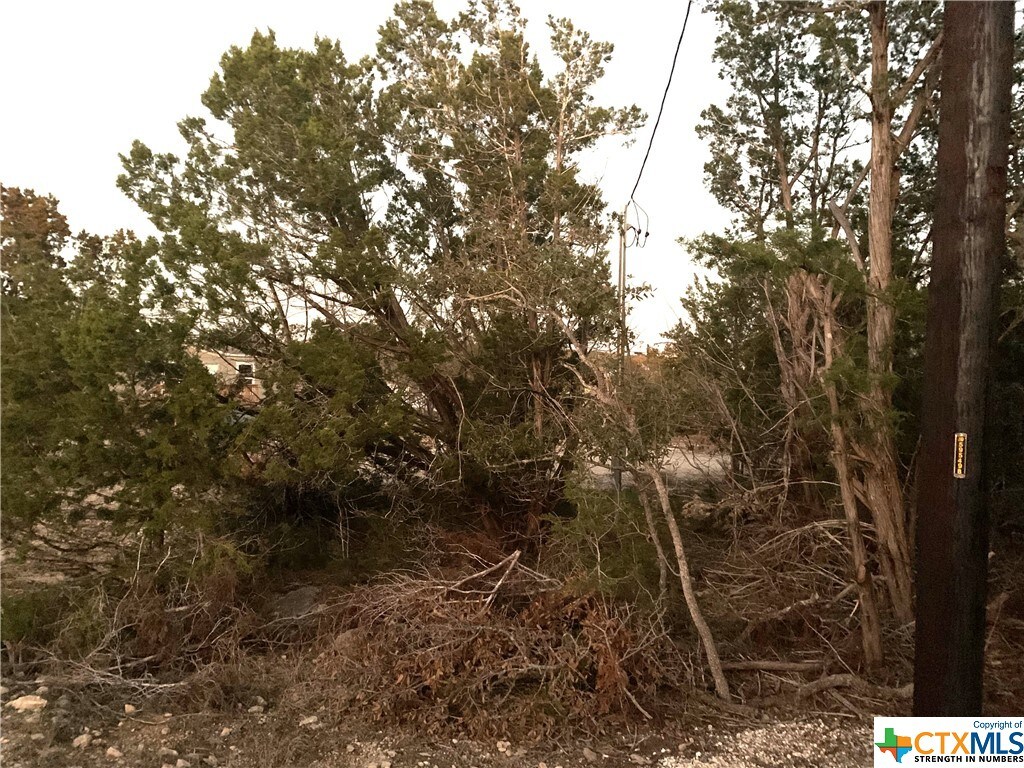 1085 Ramble Hls, Canyon Lake, TX 78133