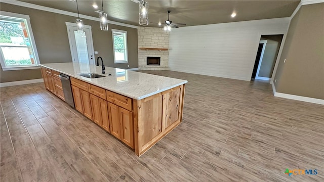 kitchen featuring light hardwood / wood-style floors, plenty of natural light, hanging light fixtures, stainless steel dishwasher, and an island with sink