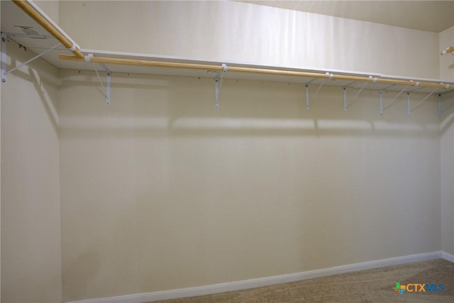 775 Spectrum Dr, New Braunfels, TX 78130 - walk in closet featuring carpet flooring