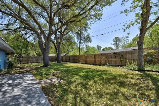 view of yard featuring a patio area and a fenced backyard