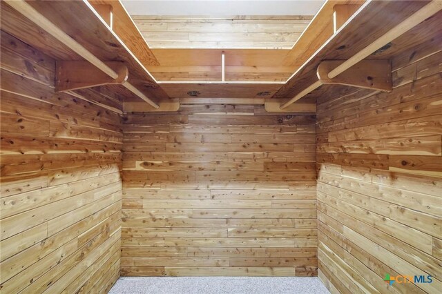 walk in closet with carpet floors