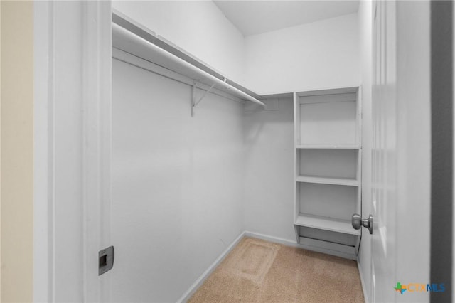 walk in closet featuring carpet