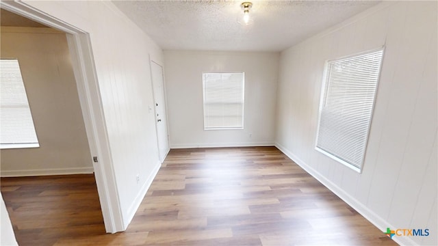 empty room with a healthy amount of sunlight, light wood-type flooring, and a textured ceiling