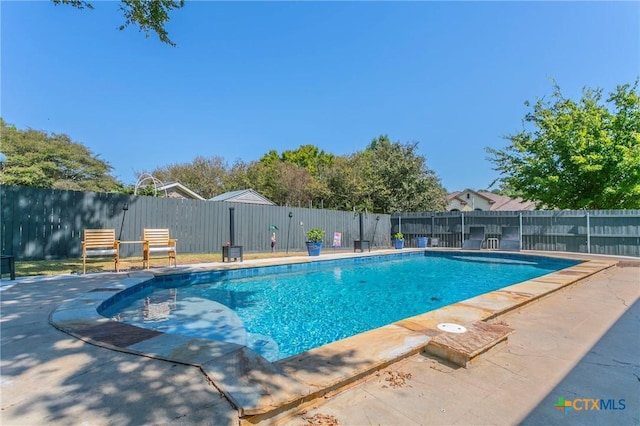 view of pool featuring a patio area