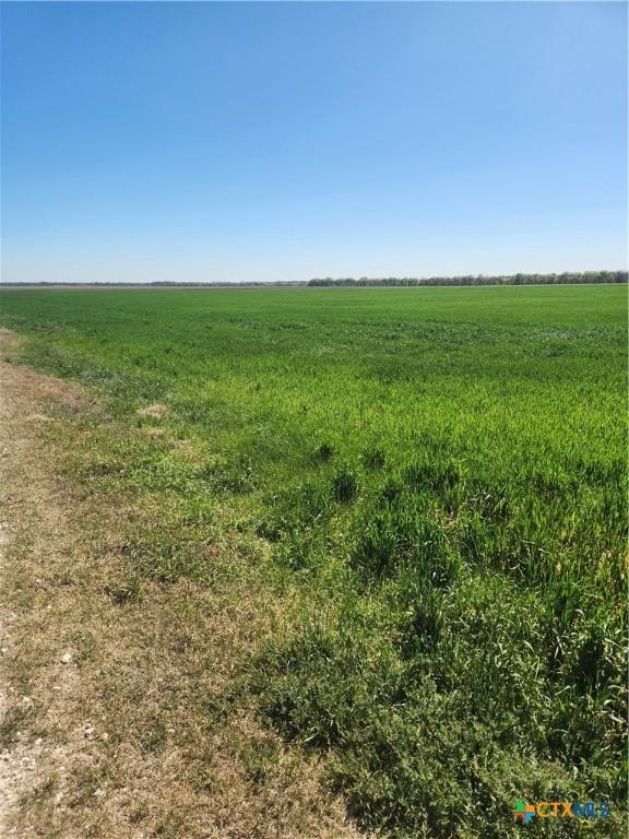 TBD Dales Acres, Milford, TX 76670 - photo 3