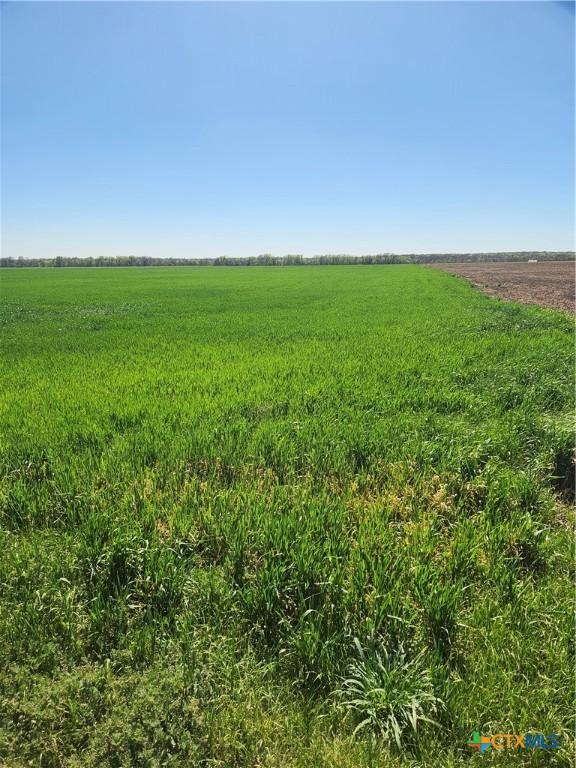 TBD Dales Acres, Milford, TX 76670 - photo 2