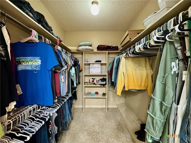 walk in closet featuring carpet floors