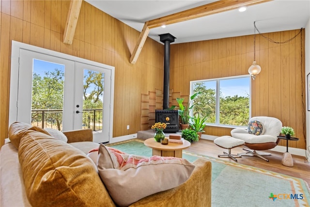 living room with wood walls and plenty of natural light