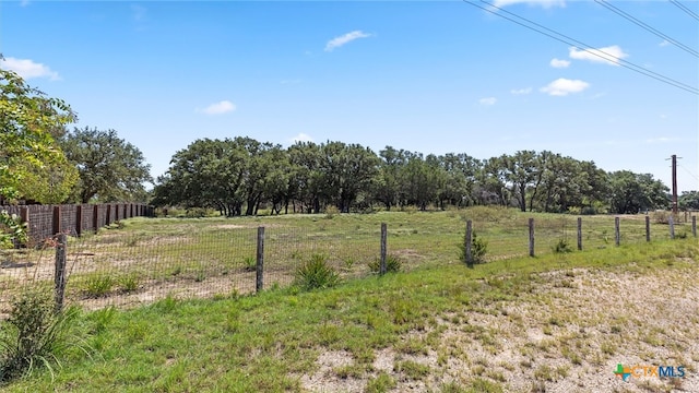 view of yard with a rural view