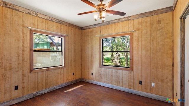 empty room with wooden walls and plenty of natural light