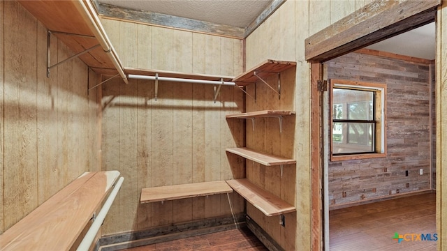 spacious closet featuring dark hardwood / wood-style floors