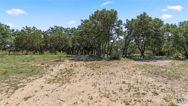 view of landscape